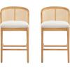 Christopher Knight Home JENA Rattan Counter Stools Set of 2, Counter Height Bar Stools for Bar Table, Rubberwood Frame with Upholstered Barstools, Wood Accent Chair with Footrest, Beige + Walnut(Beige + Natural)