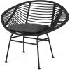 Christopher Knight Home Aleah Indoor Woven Faux Rattan Chairs with Cushions (Set of 2), Dark Gray Finish