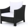 Christopher Knight Home Antibes Outdoor Wicker Club Chairs with Water Resistant Cushions, 2-Pcs Set, Black / White Cushion