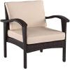 Christopher Knight Home Honolulu PE Club Chairs, 2-Pcs Set, Brown
