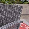 Christopher Knight Home Louisa Outdoor Wicker Club Chairs (Set of 2), Gray and Silver