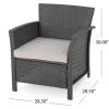 Christopher Knight Home Louisa Outdoor Wicker Club Chairs (Set of 2), Gray and Silver