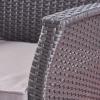 Christopher Knight Home Louisa Outdoor Wicker Club Chairs (Set of 2), Gray and Silver