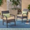 Christopher Knight Home Otto Outdoor Wicker Club Chair, Brown and Tan(Set of 2)