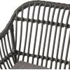 Christopher Knight Home Rodney Indoor Woven Faux Rattan Chairs with Cushions (Set of 2), Dark Gray Finish