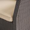 Christopher Knight Home Sanger Outdoor Club Chair with Cushions – Wicker – Dark Brown/Beige