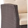 Christopher Knight Home Sanger Outdoor Club Chair with Cushions – Wicker – Dark Brown/Beige