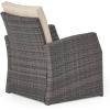 Christopher Knight Home Sanger Outdoor Club Chairs with Cushions – Wicker – Gray/Beige (Set of 2)