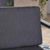 Christopher Knight Home Wally Outdoor Aluminum Club Chairs (Set of 2), Dark Gray and Black