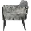 Great Deal Furniture Christopher Knight Home Weber Outdoor Wicker Club Chair (Set of 4), Light Dark Gray