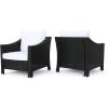 Christopher Knight Home Antibes Outdoor Wicker Club Chairs with Water Resistant Cushions, 2-Pcs Set, Black / White Cushion