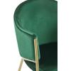 Christopher Knight Home Hillmon Velvet Upholstered Dining Chairs Set of 2, Iron Frame Dining Room Chair with Curved Backrest, Metal Kitchen Side Chair, Modern Living Room Accent Seat, Emerald+Gold(Emerald+gold)