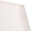 Christopher Knight Home Lissa PU Dining Chairs, 2-Pcs Set, Ivory