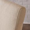 Christopher Knight Home Pertica Fabric Dining Chairs, 2-Pcs Set, Blue(Beige)
