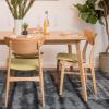 Christopher Knight Home Anise Fabric Dining Chairs, 2-Pcs Set, Green Tea