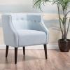 Christopher Knight Home Brandi Fabric Club Chair, Green(Light Sky)
