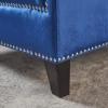 Christopher Knight Home Jaclyn Velvet Tufted Club Chair, Navy Blue / Natural