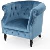 Christopher Knight Home Akira Velvet Club Chair, Aqua(Aqua)