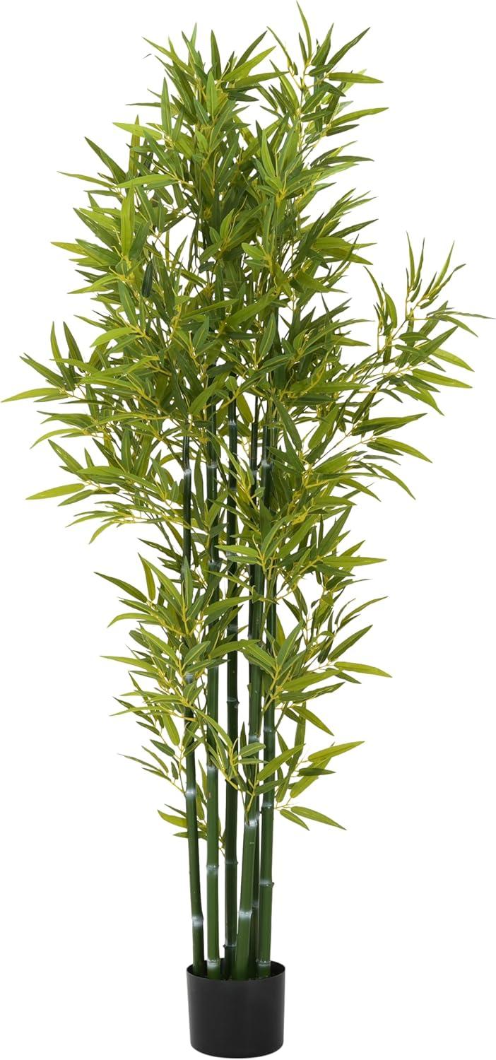 image:imageChristopher Knight Home Alene Set of 2 49H PrePotted Artificial Tree Indoor with Black Plastic Pot Artificial Topiary Bay Tree Ball with Nursery Pot Faux Tree with Natural Wood Trunk GreenGreen72h