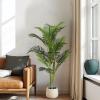 Christopher Knight Home Alene Set of 2 49”H Pre-Potted Artificial Tree Indoor with Black Plastic Pot, Artificial Topiary Bay Tree Ball with Nursery Pot, Faux Tree with Natural Wood Trunk, Green(Green/61”h)