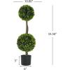 Christopher Knight Home Alene Set of 2 49”H Pre-Potted Artificial Tree Indoor with Black Plastic Pot, Artificial Topiary Bay Tree Ball with Nursery Pot, Faux Tree with Natural Wood Trunk, Green(Green/34”h)