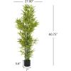 Christopher Knight Home Alene Set of 2 49”H Pre-Potted Artificial Tree Indoor with Black Plastic Pot, Artificial Topiary Bay Tree Ball with Nursery Pot, Faux Tree with Natural Wood Trunk, Green(Green/60.75”h)