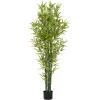 Christopher Knight Home Alene Set of 2 49”H Pre-Potted Artificial Tree Indoor with Black Plastic Pot, Artificial Topiary Bay Tree Ball with Nursery Pot, Faux Tree with Natural Wood Trunk, Green(Green/72”h)
