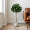 Christopher Knight Home Alene Set of 2 49”H Pre-Potted Artificial Tree Indoor with Black Plastic Pot, Artificial Topiary Bay Tree Ball with Nursery Pot, Faux Tree with Natural Wood Trunk, Green(Green/49”h)