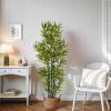 Christopher Knight Home Alene Set of 2 49”H Pre-Potted Artificial Tree Indoor with Black Plastic Pot, Artificial Topiary Bay Tree Ball with Nursery Pot, Faux Tree with Natural Wood Trunk, Green(Green/60.75”h)