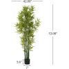 Christopher Knight Home Alene Set of 2 49”H Pre-Potted Artificial Tree Indoor with Black Plastic Pot, Artificial Topiary Bay Tree Ball with Nursery Pot, Faux Tree with Natural Wood Trunk, Green(Green/72”h)