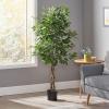 Christopher Knight Home Harney 5′ x 2.5′ Artificial Ficus Tree, Green