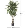Christopher Knight Home Harney 5′ x 2.5′ Artificial Ficus Tree, Green