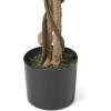 Christopher Knight Home Harney 5′ x 2.5′ Artificial Ficus Tree, Green