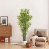 Christopher Knight Home Alene Set of 2 49”H Pre-Potted Artificial Tree Indoor with Black Plastic Pot, Artificial Topiary Bay Tree Ball with Nursery Pot, Faux Tree with Natural Wood Trunk, Green(Green/72”h)