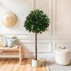 Christopher Knight Home Alene Set of 2 49”H Pre-Potted Artificial Tree Indoor with Black Plastic Pot, Artificial Topiary Bay Tree Ball with Nursery Pot, Faux Tree with Natural Wood Trunk, Green(Green/49”h)