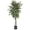 Christopher Knight Home Harney 5′ x 2.5′ Artificial Ficus Tree, Green