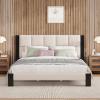 Christopher Knight Home Fizz Boucle Upholstered King Size Bed Frame, Wood Cal King Bed Frame and Headboard, Solid and Stable Bedframe, No Box Spring Needed, Noise Free King Platform Bed, Beige+Black(King Size)