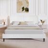 Christopher Knight Home Senna Modern Queen Bed Frame with Headboard, Upholstered Plush Fabric Queen Platform Bed Frame, Wooden Slats Panel Platform Support, No Box Spring Needed, Dark Beige(White)