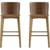 Christopher Knight Home Alice lndoor Barstool Set of 2, Rubberwood Frame Counter Height Stool with Low-Profile Backrest for Bar Table/Kitchen Island, Wooden Dining Chair with Footrest, Brown + Walnut