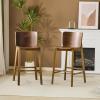 Christopher Knight Home Alice lndoor Barstool Set of 2, Rubberwood Frame Counter Height Stool with Low-Profile Backrest for Bar Table/Kitchen Island, Wooden Dining Chair with Footrest, Brown + Walnut