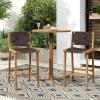 Christopher Knight Home Beryl Patio Barstool Set of 2, Outdoor Counter Height Stool with Wood Frame and Natural PE Wicker, Bar Stool with Backrest/Footrest for Backyard Balcony Garden, Light Teak(Teak + Dark Brown)