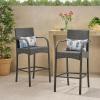 Christopher Knight Home Solis 30″ H Patio Barstools Set of 2, Woven Rattan Barstool, Wicker Weave Armchair, Tall Bistro Chair with Footrail, Outdoor Counter Stool for Backyard Garden, Gray
