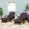 Christopher Knight Home Waverly Wicker Chaise Lounges Set of 2, Wicker Lounge Chair, Deep Seating Lounge Sofa, Beach Chair, Chaise Lounge with Armrest, Patio Lounge for Garden Pool Side, Dark Brown