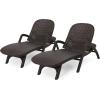 Christopher Knight Home Waverly Wicker Chaise Lounges Set of 2, Wicker Lounge Chair, Deep Seating Lounge Sofa, Beach Chair, Chaise Lounge with Armrest, Patio Lounge for Garden Pool Side, Dark Brown