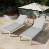 Christopher Knight Home Set of 2 Berton Outdoor Mesh Seat Chaise Lounge Chairs, Patio Adjustable Aluminum Frame Single Lounge Sofa, Poolside/Garden/Backyard Seating, All-Weather Furntiure, Gray+White