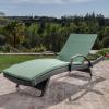 Christopher Knight Home 550 Salem Chaise Lounge
