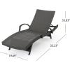 Christopher Knight Home 550 Salem Chaise Lounge