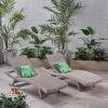 Christopher Knight Home Crete Outdoor Wicker Chaise Lounges, 2-Pcs Set, Grey