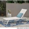 Christopher Knight Home Myers Outdoor Mesh Chaise Lounge with Aluminum Frame, White Mesh / White