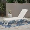 Christopher Knight Home Myers Outdoor Mesh Chaise Lounge with Aluminum Frame, White Mesh / White